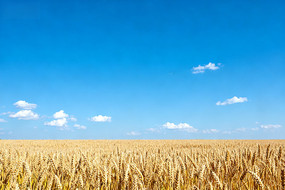 ��������µĽ������