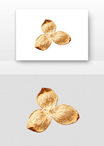 ��Ƥ��ҩ��