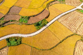 ����ӽ��µĽ�Ƶ���������С·