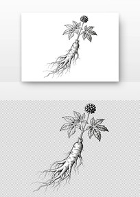 �˲�ֲ������ͼ