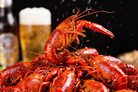 ����С��Ϻ�ѵ�ơ���������ʳ��