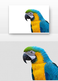 ����������д