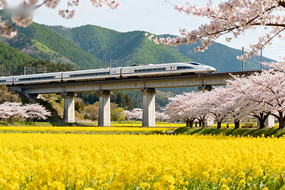 ������Ұ�д��е�ӣ�������г�