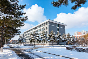 ����У԰ѩ���ִ��������������