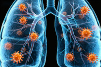 �β��ṹ�벡�����ŵ�ҽѧ��ͼ