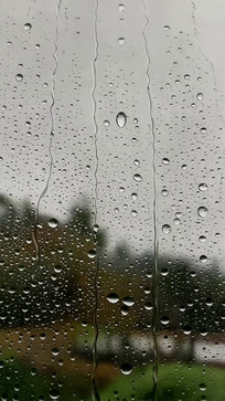 �����ϵ������д