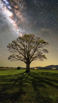 ��ԭ�����ǿ�ҹ��