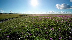 ��ԭ������Ȼ���