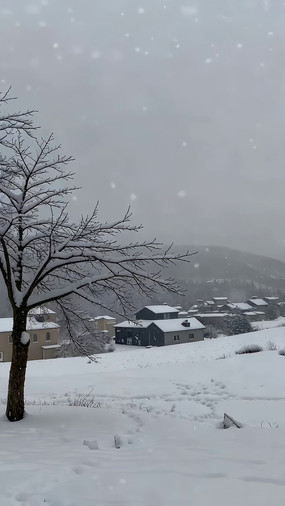 �������ѩ��