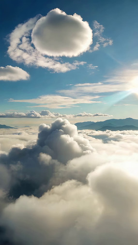 �߿ո���ƺ�������