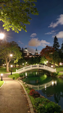 ��԰ʯ��ҹ��