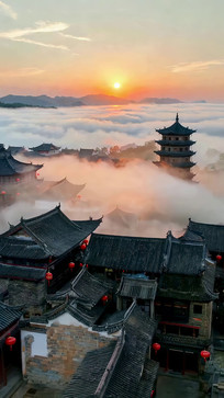 �Ž���Ⱥ�ƺ��ճ�����