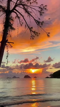 ����������Ȼ����