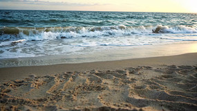 ����ɳ̲����ȫ��