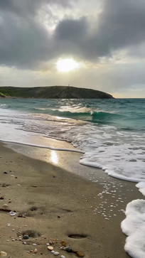 ��̲���������վ���