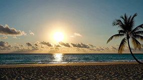 ��̲������Ȼ���