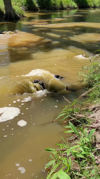 ������ĭӿ������