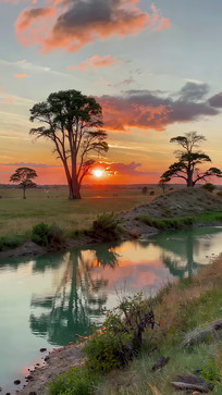 ����������Ȼ���