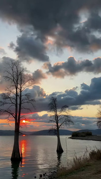 ���߿���������Ȼ����