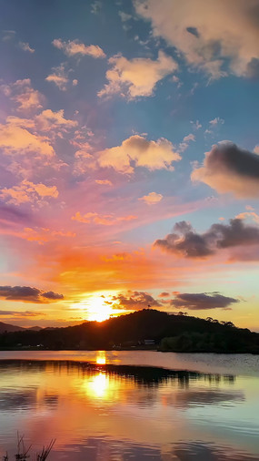 ����������Ȼ���