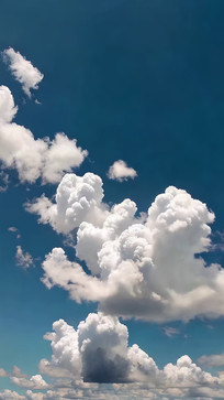 �����е����ɰ���