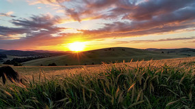 ����������Ȼ���