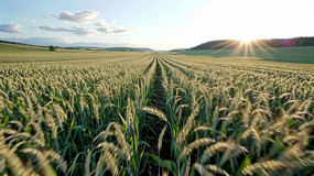 ����Ϧ����Ȼ���