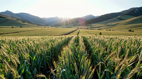 ������Ȼ���ȫ��