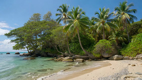 �ȴ���̲Ҭ�ֺ����ز�