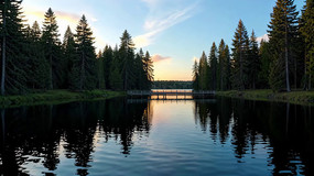 ɭ�ֺ�����Ȼ���