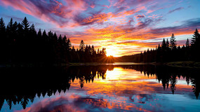 ɭ�ֺ���Ѥ���ճ�����