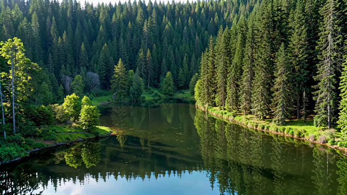 ɭ���Ժ�����Ȼ��� mp4