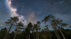 ɭ���Ͽյ��ǿ������ز�