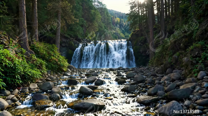 ɭ���е��ٲ�Ϫ������