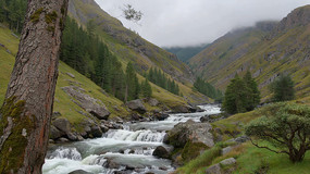 ɽ�����ɭ����Ȼ���