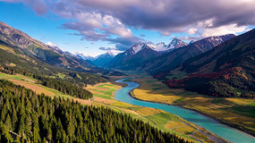 ɽ�����ɭ����Ȼ���