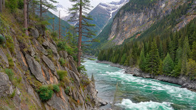 ɽ�����ɭ����Ȼ���