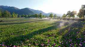 ɽ�仨����Ȼ���