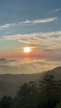 ɽ���ճ��ƺ�����