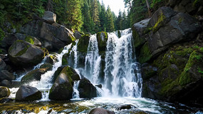 ɽ��ɭ���ٲ���Ȼ����