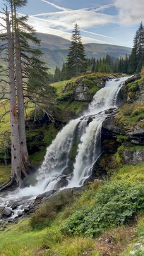 ɽ��ɭ���ٲ���Ȼ����