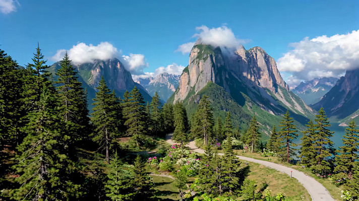 ɽ��ɭ����Ȼ���