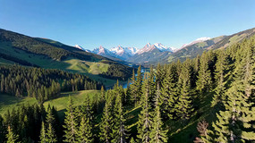 ɽ��ɭ����Ȼ���ȫ��