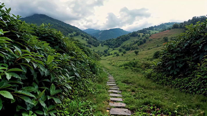 山间石板小径自然风光 山间石板小径自然风光