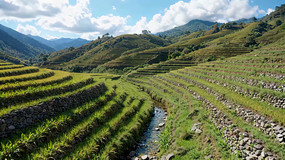 ɽ��������Ȼ���