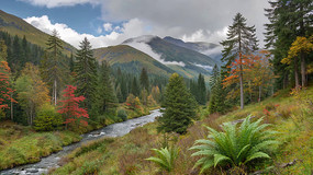 ɽ�ּ�Ϫ����Ȼ���