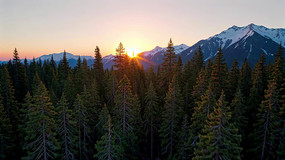 ɽ������ȫ��