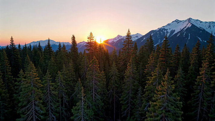 ɽ������ȫ��