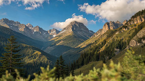 ɽ��ɭ����Ȼ���