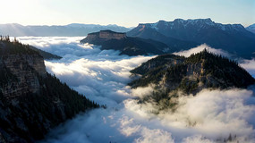 ɽ���ƺ�ɭ����Ȼ���